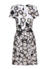 Printed Dress