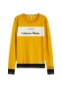 Basic Crew Neck Pullover