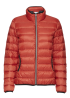 Isdown Jacket