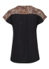 Zawov Top