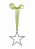 IvyPark | Large Diamante Hanging Star