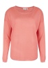 Zuvic Jumper