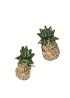 IvyPark | Pineapple Earrings