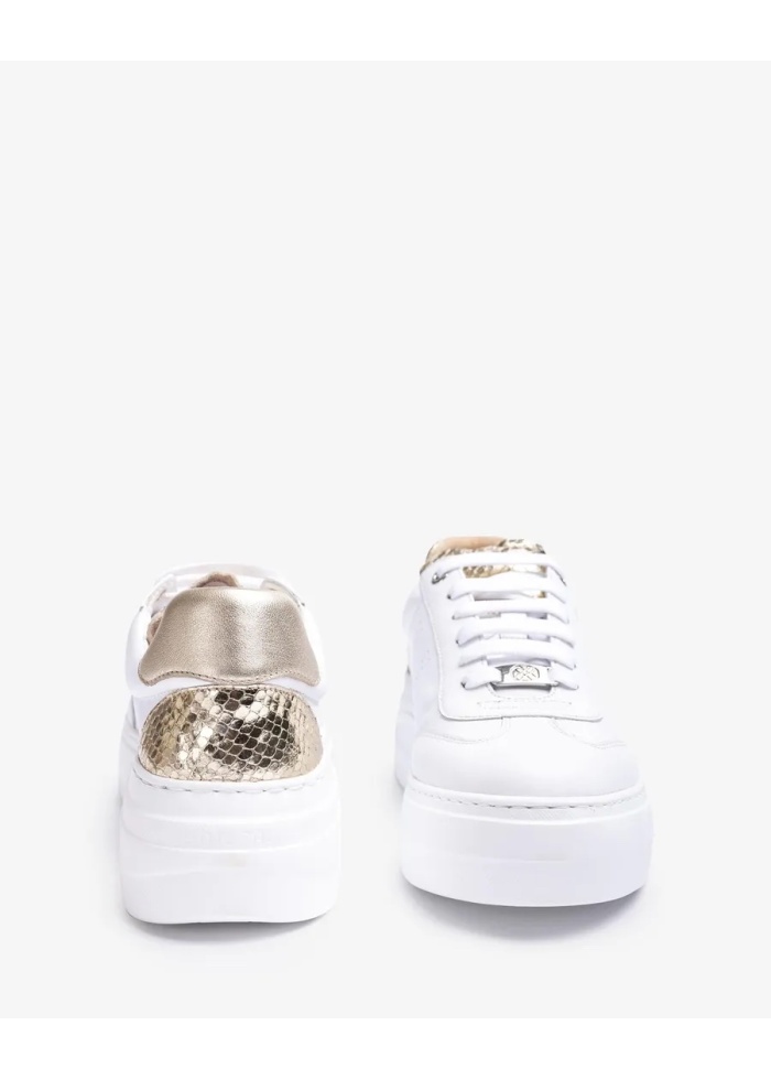 Unisa | Fraile Trainer