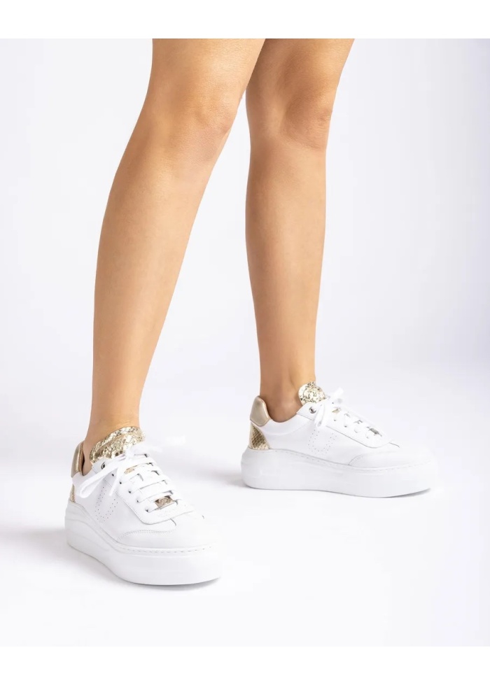 Unisa | Fraile Trainer